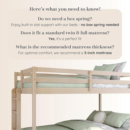 Grain & Grove Bear Twin Over Full Bunk Bed, Sturdy Bunk Bed Frame for Kids, Plywood Bunk with Ladder, Guardrail, and Slats, No Box Spring Required, Oak Embossed Natural