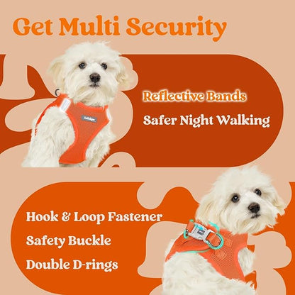 rabbitgoo Small Dog Harness, Step-in Soft Mesh Puppy Vest with Safety Buckle, Breathable Reflective Pet Harness for Small Medium Dogs, Orange L