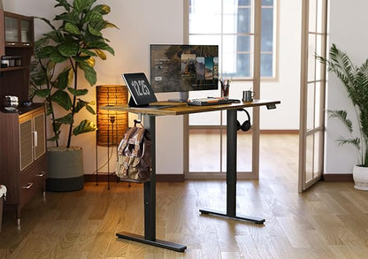Seang Standing Desk with Adjustable Height, 48x24 Inch Electric Stand Up Desk for Home Office, Studio, Computer Workstation, Rustic Brown Top