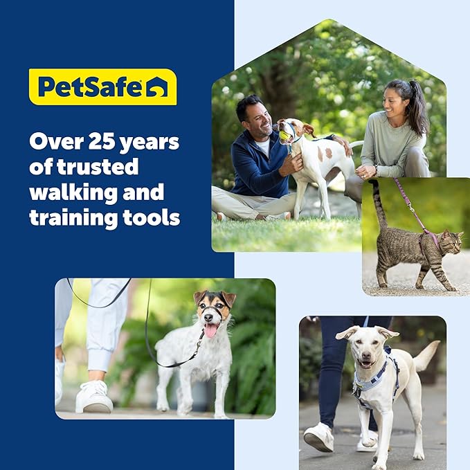 PetSafe KeepSafe Collar for Dogs - Protects Against Collar Accidents - Long Lasting - Durable - Adjustable - Breakaway - Outdoor-Safe - Medium - 3/4 In. Wide - Red