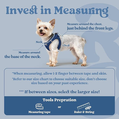 rabbitgoo Small Dog Harness, Step-in Soft Mesh Puppy Vest with Safety Buckle, Breathable Reflective Pet Harness for Small Sized Dogs, Navy Blue M