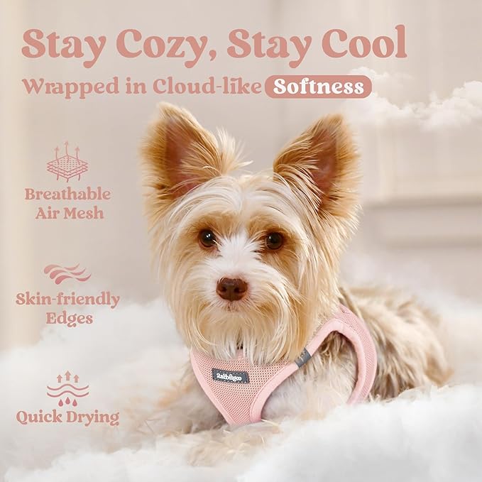 rabbitgoo Small Dog Harness, Step-in Soft Mesh Puppy Vest with Safety Buckle, Breathable Reflective Pet Harness for Extra Small Dogs, Pink XXS
