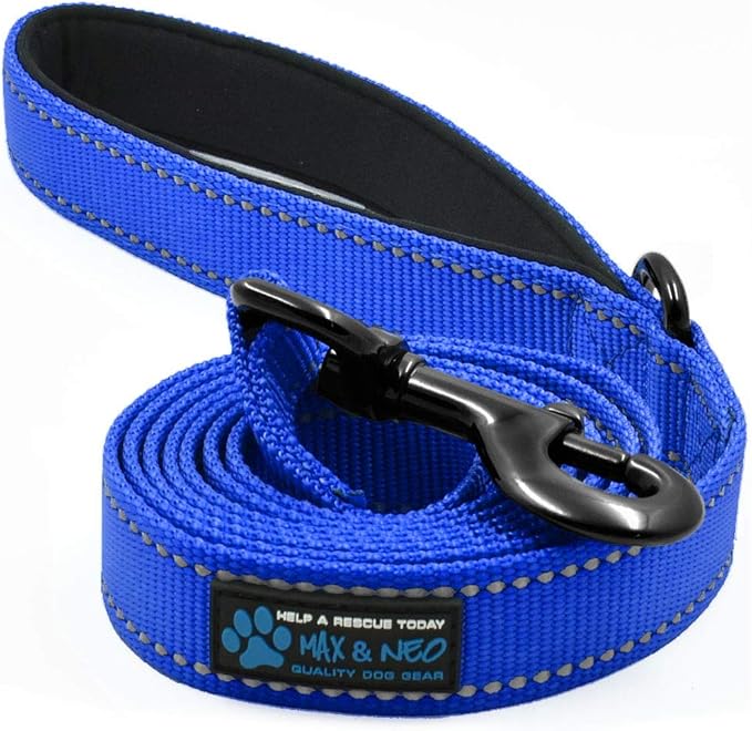 Max and Neo Reflective Nylon Dog Leash - We Donate a Leash to a Dog Rescue for Every Leash Sold (Blue, 6 FT)