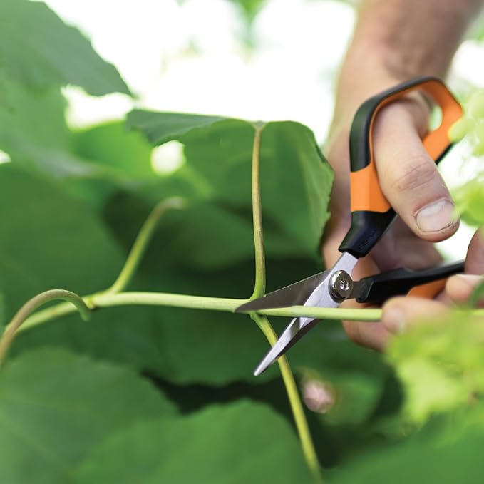 Fiskars Comfort Loop Pruning Snips, Garden Gifts for Women, Extra Large SoftGrip Handle, Yard and Garden Tools 7", Orange/Black