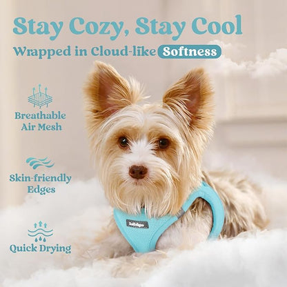 rabbitgoo Small Dog Harness, Step-in Soft Mesh Puppy Vest with Safety Buckle, Breathable Reflective Pet Harness for Extra Small Dogs, Mint Blue XXS
