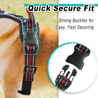 BARKBAY Dog Harness No Pull Mesh for Small Dogs - Adjustable, Reflective, Comfortable, No Choke, Heavy-Duty - Perfect for Outdoor Training, Walking, and Hiking - Strong & Durable- XS & Blue Star Mesh