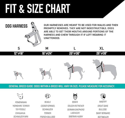 Wolfgang Heavy Duty Adjustable Dog Harness, Pull-Tested to Over 800 lbs for Walking & Training, NewMoon Print, Medium