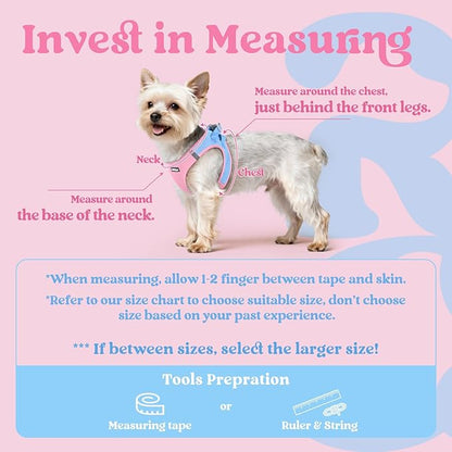 rabbitgoo Small Dog Harness, Step-in Soft Mesh Puppy Vest with Safety Buckle, Breathable Reflective Pet Harness for Small Sized Dogs, Blue & Light Pink XS