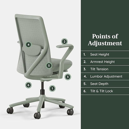 Branch Verve Chair - High Performance Executive Office Chair with Contoured Seat Back and Adjustable Lumbar Rest - High Density Foam Cushion with Aluminum Base - Up to 275 lbs - Mint