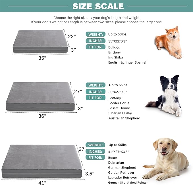 Waterproof Dog Beds Large Sized Dogs, Washable Orthopedic Pet Bed with Removable Cover Reversible, Foam Pets Bed Durable Anti-Slip Bottom, 36"x27", Gray