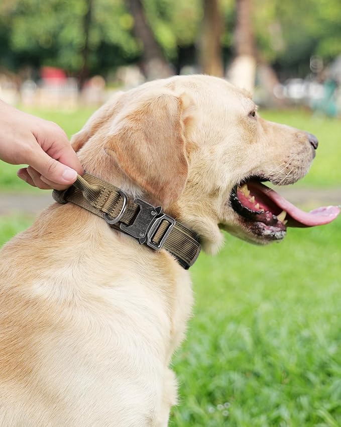 Joytale Tactical Dog Collar with Handle, Adjustable Heavy Duty Military Collar with 2 Patches for Training, Suitable for XLarge Dogs, Khaki, XL