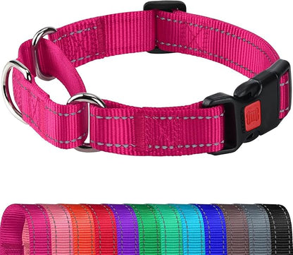 Joytale Martingale Collar for Dogs, Reflective Heavy Duty for Safety, Quick Release Buckle, Adjustable Nylon Collars for Large Dogs Walking Training, Hotpink,L
