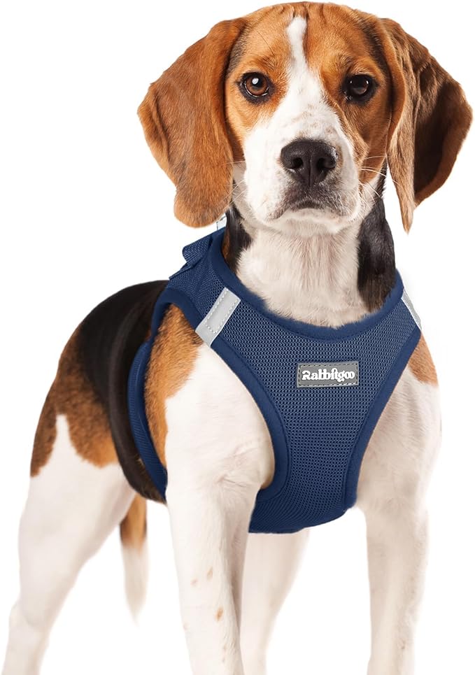rabbitgoo Small Dog Harness, Step-in Soft Mesh Puppy Vest with Safety Buckle, Breathable Reflective Pet Harness for Small Medium Dogs, Navy Blue XL