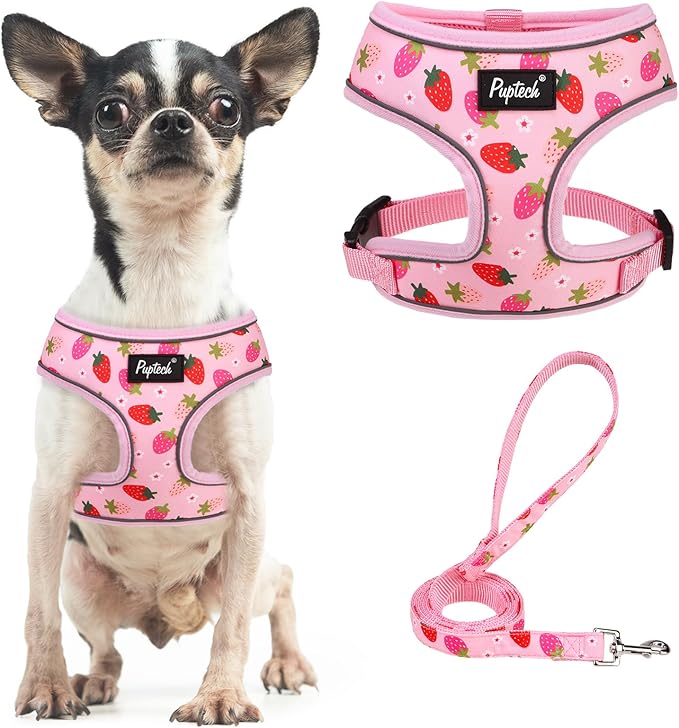 PUPTECK Soft Mesh Dog Harness and Leash Set Pet Puppy Cat Comfort Padded Vest No Pull Harnesses, Strawberry Pink, S