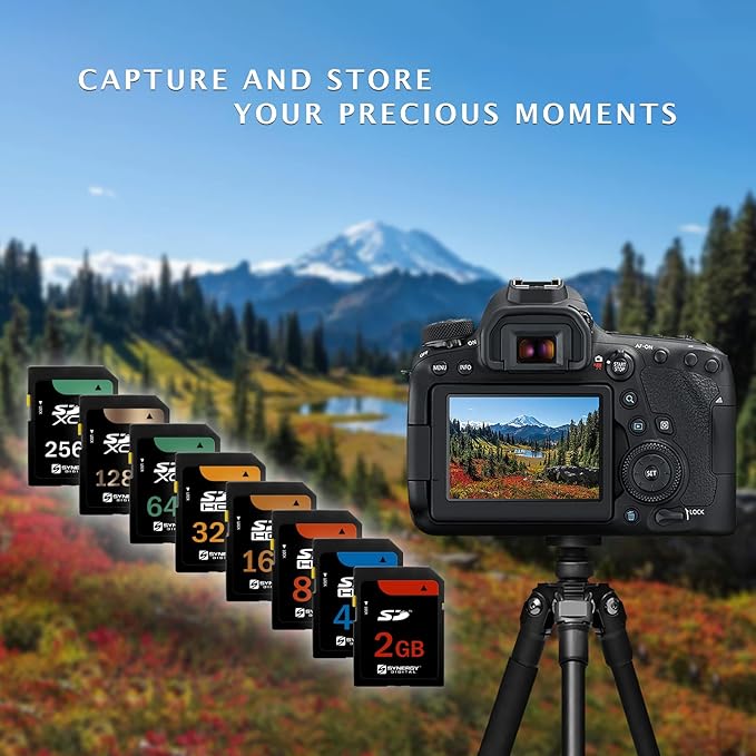 Canon Powershot SD550 Digital Camera Memory Card 2GB Standard Secure Digital (SD) Memory Card