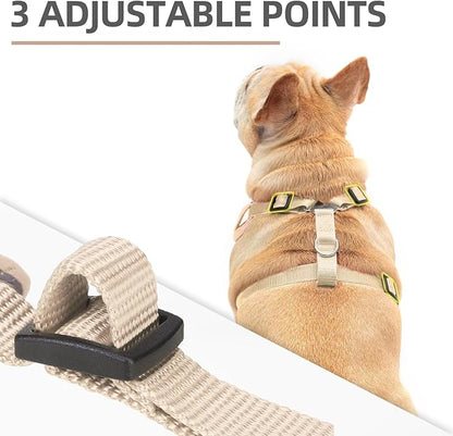 PUPTECK Small Dog Harness and Leash Set, No Pull Adjustable Puppy Cat Harness, Reflective Soft Mesh Pet Vest Small Sized, Khaki, S