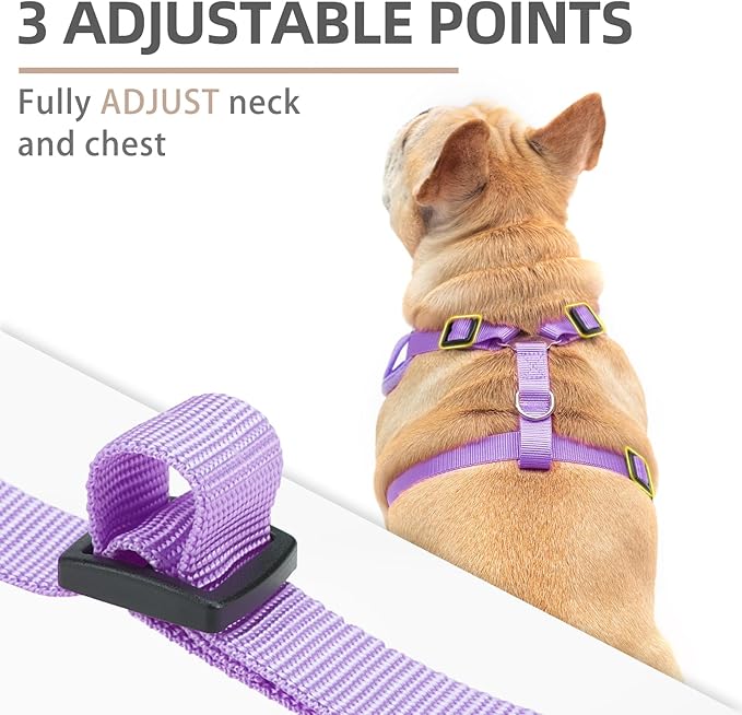 PUPTECK Small Dog Harness and Leash Set, No Pull Adjustable Puppy Cat Harness, Reflective Soft Mesh Pet Vest Small Sized, Daisy, M