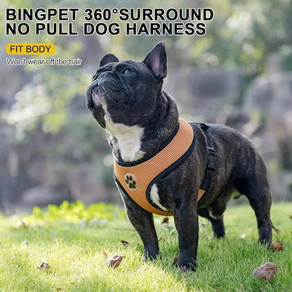 BINGPET No Pull Dog Harness,Soft Mesh Breathable All Weather Vest Harness,Safety Protection Design Durable Adjustable Step-in Easy Walk Dog Harness for Small Medium Large Dogs(Beige,M)