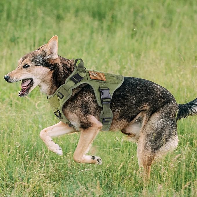 rabbitgoo Tactical Dog Harness for Small, Heavy Duty Pet Harness with Handle, No-Pull Service Vest Small Breed, Adjustable Military Dog Vest for Training Hunting Walking, Green, S