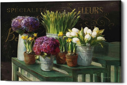Epic Graffiti 'Les Fleurs Printemps on Black' by Danhui Nai, Canvas Wall Art, 16"x12"