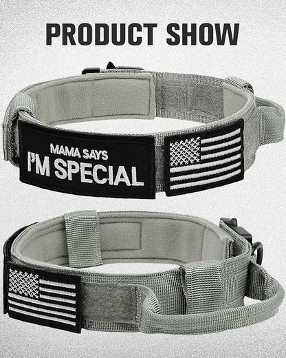 Joytale Tactical Dog Collar with Handle, Adjustable Heavy Duty Military Collar with 2 Patches for Training, Suitable for Large Dogs, Gray, L