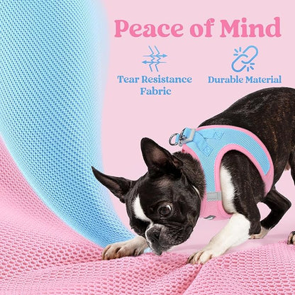 rabbitgoo Small Dog Harness, Step-in Soft Mesh Puppy Vest with Safety Buckle, Breathable Reflective Pet Harness for Small Medium Dogs, Blue & Light Pink L