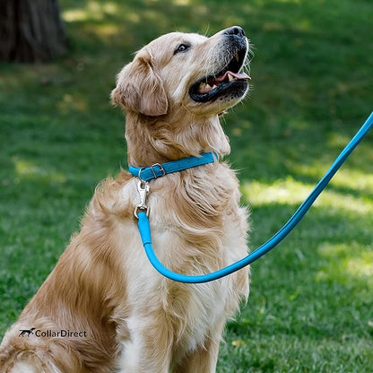 CollarDirect Rolled Leather Dog Collar, Soft Padded Round Puppy Collar, Handmade Genuine Leather Collar Dog Small Large Cat Collars 13 Colors (15-19 Inch, Light Blue Textured)