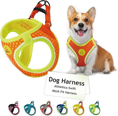 DOCO Dog Harness (Chest 13.5"-14", Weight 4–6 lbs) Athletica Adjustable Heavy Duty No Choke Puppy Vest for Small Dogs Lightweight Air Mesh, Reflective, Puppy Essentials – Orange, X-Small