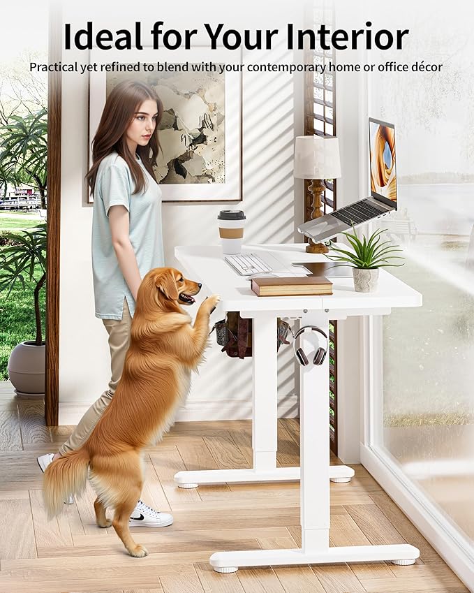 BIZUM Standing Desk Electric Adjustable Computer Desk-Stand up Desk Office Gaming Home Office Memory Desks 48x24 inches White