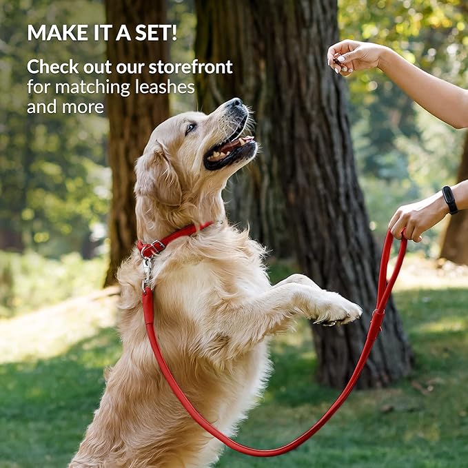 CollarDirect Rolled Leather Dog Collar, Soft Padded Round Puppy Collar, Handmade Genuine Leather Collar Dog Small Large Cat Collars 13 Colors (15-19 Inch, Red Smooth)