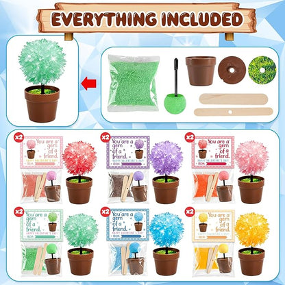 MOVINPE Crystal Flower Growing Kit for Kids – 12 Pack Valentine’s Day Classroom Gift Exchange, STEM Crystals Flower Science Kits with 6 Colors Crystal Powder & Seeds, Non-Candy School Gifts
