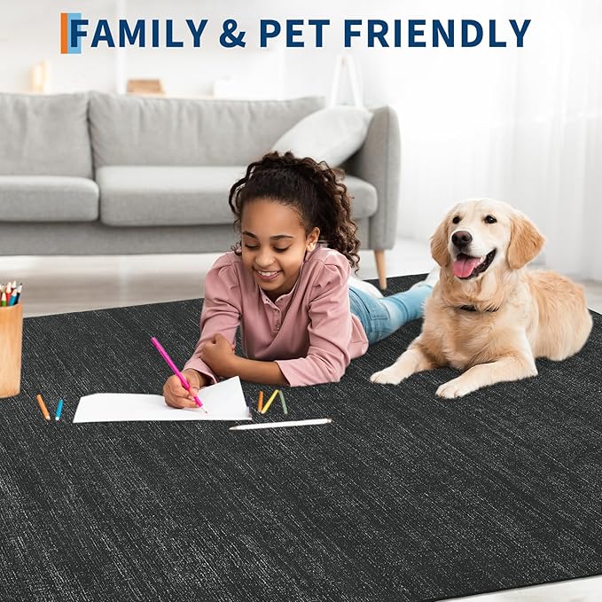 Area Rug 4x6 Washable Bedroom Rugs Non Slip Modern Solid Color Large Living Room Throw Carpet Low Pile Minimalist Kitchen Rug Plain Accent Rug Mat Classic Boho Area Rugs for Nursery Entryway, Black