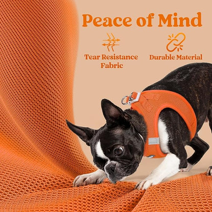 rabbitgoo Small Dog Harness, Step-in Soft Mesh Puppy Vest with Safety Buckle, Breathable Reflective Pet Harness for Large Dogs, Orange XXL