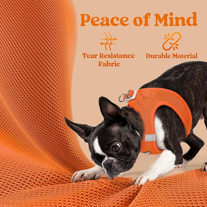 rabbitgoo Small Dog Harness, Step-in Soft Mesh Puppy Vest with Safety Buckle, Breathable Reflective Pet Harness for Small Medium Dogs, Orange L