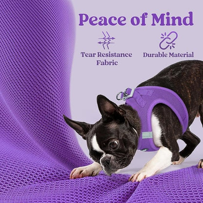 rabbitgoo Small Dog Harness, Step-in Soft Mesh Puppy Vest with Safety Buckle, Breathable Reflective Pet Harness for Extra Small Dogs, Purple XXS