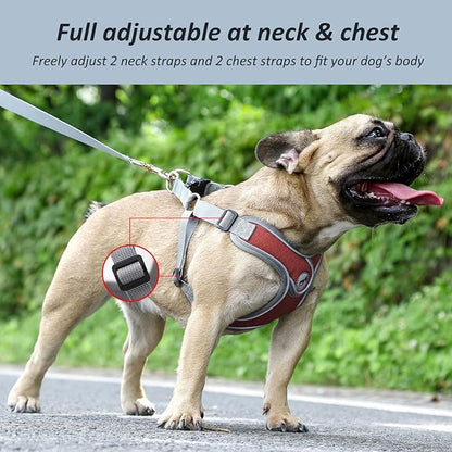 Dog Harness with Leash, Soft Adjustable Step in Reflective Strips Collars Harness Vest for Small Medium Dogs Training and Running (M, Red)