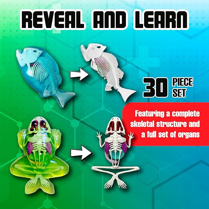 Top Secret Toys Mega Lab Dissect It Kit for Kids, Synthetic Frog and Piranha Dissection Kids Science Kit with Tools, STEM Biology Toys for Ages 6+