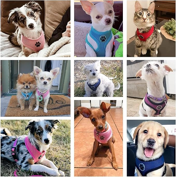 BINGPET BB5001 Soft Mesh Dog Harness Pet Walking Vest Puppy Padded Harnesses Adjustable, Red Small