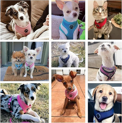 BINGPET BB5001 Soft Mesh Dog Harness Pet Walking Vest Puppy Padded Harnesses Adjustable, Red Small