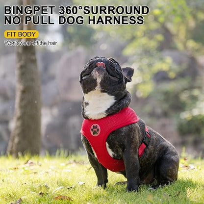 BINGPET BB5001 Soft Mesh Dog Harness Pet Walking Vest Puppy Padded Harnesses Adjustable, Red Small