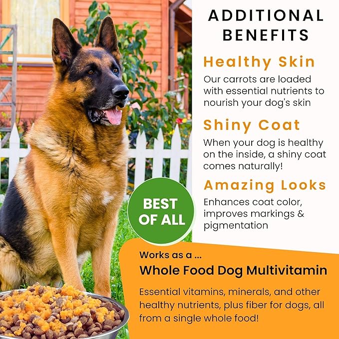 Olewo Original Carrots for Dogs ??Fiber for Perfect Poop, Dehydrated Dog Food Toppers for Picky Eaters, Natural Skin & Coat Support, Multivitamin, Probiotics for Digestive & Gut Health, 2.2 lbs