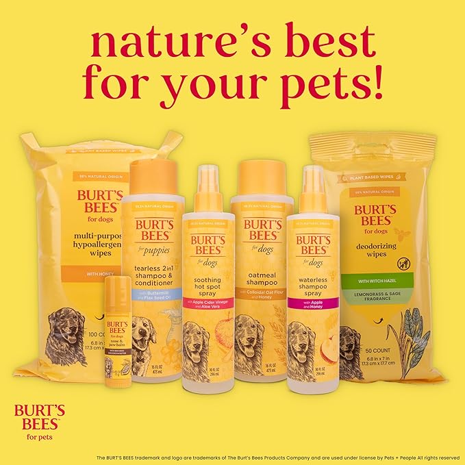 Burt’s Bees for Pets Tear Free Puppy Shampoo & Conditioner with Buttermilk, 2 in 1 Gentle Dog Shampoo for Puppies, Cleans and Conditions Sensitive Skin, 16 Fl Oz - 6 Pack