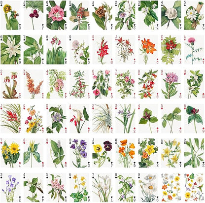 Wildflower Collection Playing Cards (Poker Deck 54 Cards All Different) Vintage Botanical Illustrations of Colorful Blooms Garden Beauties and Delicate Field Flowers