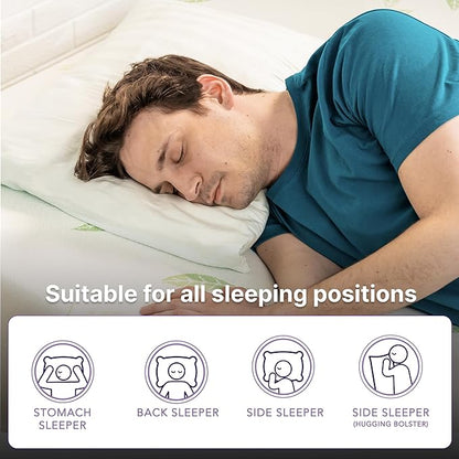 NapQueen Full Size, 8 Inch Anula Green Tea Infused Memory Foam Mattress, Bed in a Box, CertiPUR-US Certified Mattress