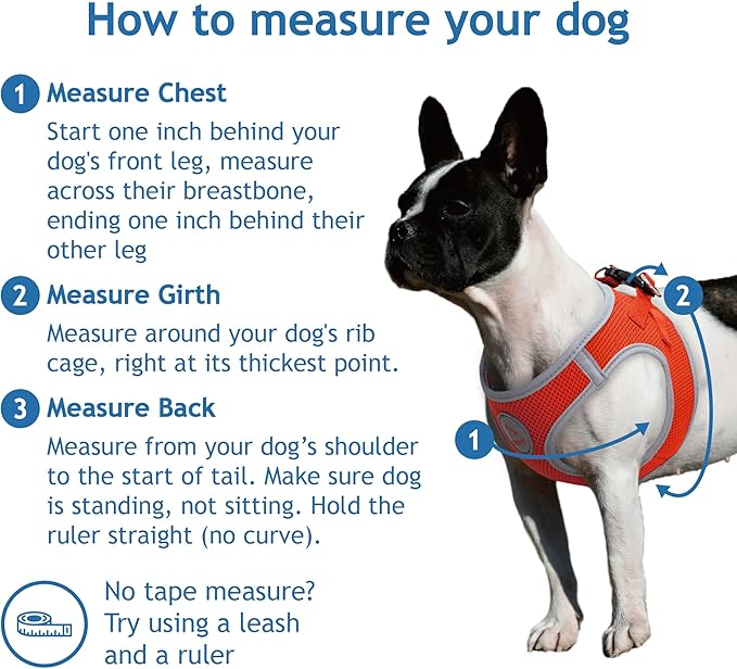 DOCO Dog Harness (Chest 13.5"-14", Weight 4–6 lbs) Athletica Adjustable Heavy Duty No Choke Puppy Vest for Small Dogs Lightweight Air Mesh, Reflective, Puppy Essentials – Orange, X-Small