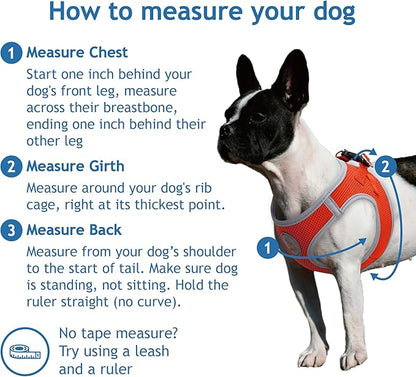 DOCO Dog Harness (Chest 13.5"-14", Weight 4–6 lbs) Athletica Adjustable Heavy Duty No Choke Puppy Vest for Small Dogs Lightweight Air Mesh, Reflective, Puppy Essentials – Orange, X-Small