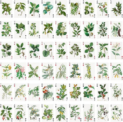 Trees and Leaves Playing Cards (Poker Deck 54 Cards All Different) Vintage Antique Botannical Books Illustration by Pierre Redoute
