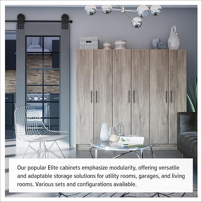Prepac Elite Tall Garage Storage Cabinet & Pantry Storage Cupboard, 2-Door Freestanding Bathroom or Pantry Cabinet with Adjustable Shelves, 16" D x 32" W x 65" H, Drifted Gray