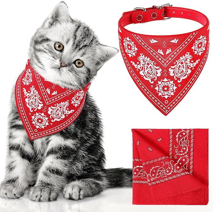 Cat Dog Bandana Collar & Owner Matching Paisley Pattern Bandana Women Headband Square Scarf Headwear Puppy Scarf for Small Dog Adjustable Cat Collar Triangle Neckerchief Handkerchief(Red)