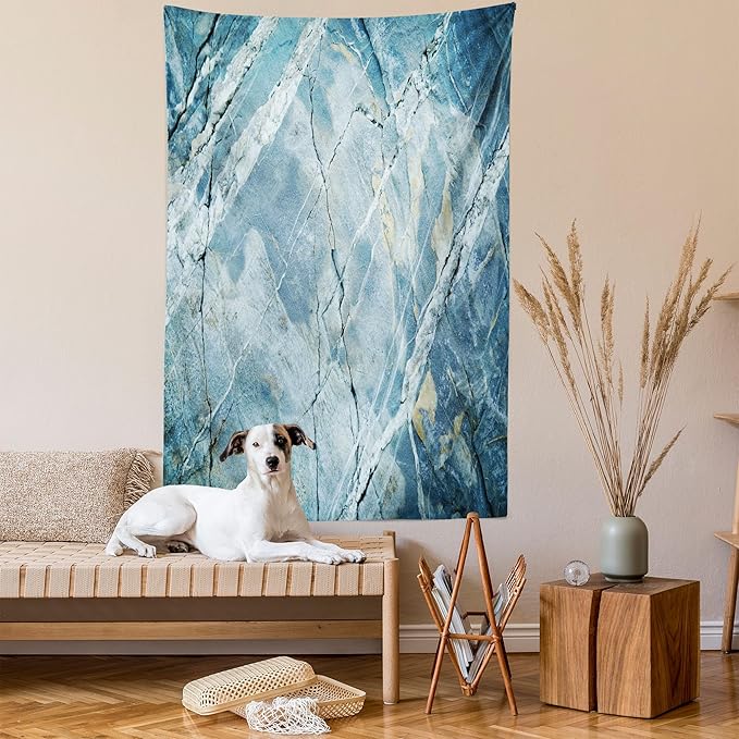 Ambesonne Marble Print Tapestry, Exquisite Granite Stone Architecture Floor Nature Faded Rock Picture, Wall Hanging for Bedroom Living Room Dorm Decor, 40" X 60", Pale Blue Grey